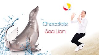 CHOCOLATE SEA LION [upl. by Einavoj]