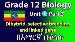 Grade 12 Biology Unit 3 part3 dihybrid inheritance selective breeding and linked gene [upl. by Indihar]