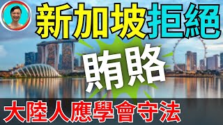 賄賂新加坡執法人員？膽大包天！無視王法！行賄人員應當得到相應的處罰！新加坡政府應該嚴懲，才能制止這種劣質行為！新加坡  清廉  賄賂  執法人員  收受賄賂  新加坡政府 [upl. by Sanderson75]