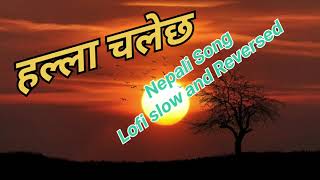 LofiHalla Chalechha  Parkhaima Cover songs nepalisong coversong lofi [upl. by Dorice]