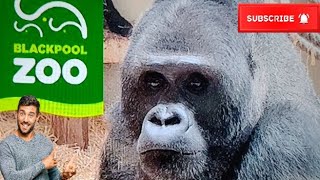 Blackpool zoo vlog February 2024 [upl. by Nalaf90]