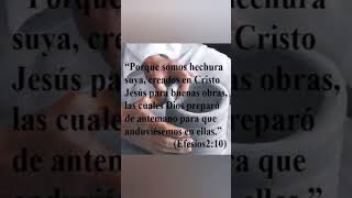 EFESIOS 210 jesus diosesfielasuspromesas prosperadosporlapalabra versiculobiblico [upl. by Gord934]