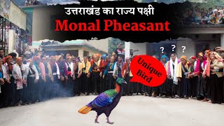 Monal Pheasant उत्तराखंड का राज्य पक्षी कैसे बना  Uttarakhand State Bird Himalayan Monal  History [upl. by Nemraciram148]