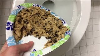 Will it Flush  Nestle Toll House Cookie Dough [upl. by Ainevuol]