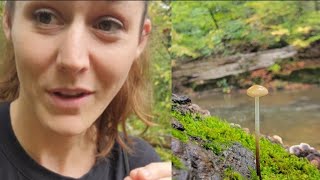 Creek Walk Plant Talk amp Storytime [upl. by Eldwon]