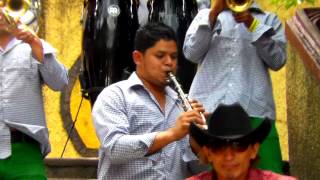 Banda El Kaderazo  Sopa de caracol  Platinum Records [upl. by Nylhsa129]