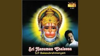 Sri Nama Ramayanam [upl. by Cornell]