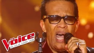 James Brown  I Got You  Vigon  The Voice France 2012  Blind Audition [upl. by Virgilia881]