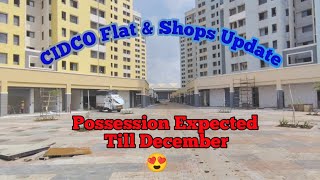 CIDCO Bamandongri Shops amp Flat Lottery Update l CIDCO Lottery 2024 Update [upl. by Caesaria]