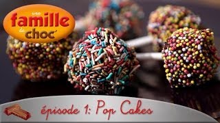 Une famille de choc  Ep1  Pop Cakes [upl. by Kelam842]