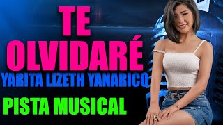 Yarita Lizeth Yanarico  Te olvidaré REMIX Pista Musical de Audio Original [upl. by Winnick]