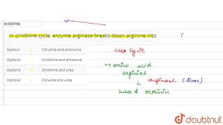 In ornithine cycle enzyme arginase breaks down arginine into [upl. by Conias]