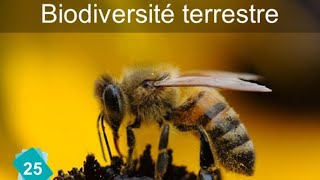 CARTE 25 Biodiversité terrestre [upl. by Hsiekal]