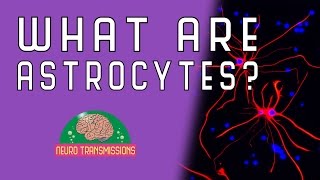 What Are Astrocytes [upl. by Catie]