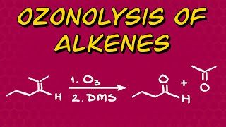 How to Draw the Ozonolysis of Alkenes Product EASY [upl. by Thielen]