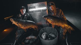 Filling Barrels Full of Common Carp Bowfishing  2 Bonus Mirror Carp [upl. by Halimaj348]