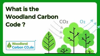 What is the Woodland Carbon Code [upl. by Asher534]