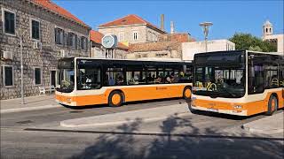 Croatia Cavtat Dubrovnik and Srebreno Libertas buses in July 2023 [upl. by Nnyletak775]