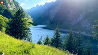 Amazing Fälensee🇨🇭Fahlensee Lake  Alpstein canton of AppenzellInnerrhoden Switzerland [upl. by Ocirled]