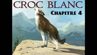 Croc Blanc  Livre Audio 🔈  chapitre 4  La bataille des crocs  Jack London [upl. by Tnaryb]