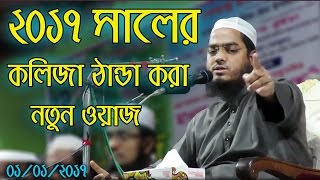 Hafizur Rahman Siddiki Bangla Waz 2017  Bangla New Waz 2017 Kolija Danda Kora New Waz [upl. by Corinne658]