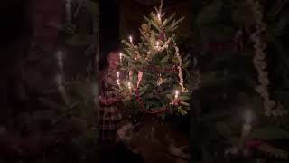 A Victorian Christmas  Candlelit Christmas Tree [upl. by Samson]