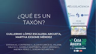 ¿Qué es un taxón [upl. by Luy]