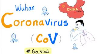 Novel Coronavirus 2019 nCoV 🦠 Outbreak 😷 Update  1 COVID19 [upl. by Earleen]