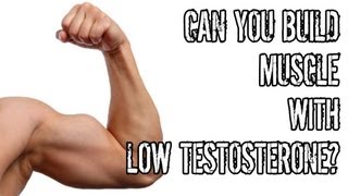 Can You Build Muscle With Low Testosterone [upl. by Mumford208]