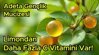 Limondan Daha Fazla C Vitamini Var Adeta Gençlik Mucizesi [upl. by Christa]