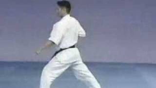 kyokushin karate 1kata [upl. by Opiuuk]