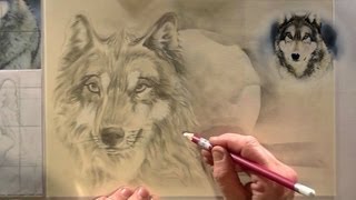 WOLF tekenen voor beginners potlood tekening [upl. by Naginnarb912]