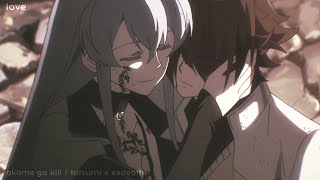 Tatsumi x Esdeath「AMV」 Endless love 😢😞  akame ga kill [upl. by Severen]