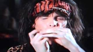 Aerosmith  Steven Tyler  solo Harmonica [upl. by Kong]