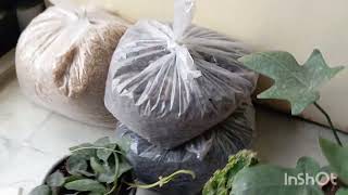 Galiff street plant market unboxingvideo viral balconygarden [upl. by Isolde]