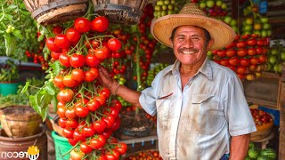 🍅 Cultiva Tomates ASÍ para Muchas Frutas [upl. by Brill]