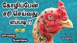 கோழிப்பேன் சரி செய்வது எப்படி  how to cure hen ticks  தமிழில் petsfoldertamil ticks cure tamil [upl. by Elleinaj]