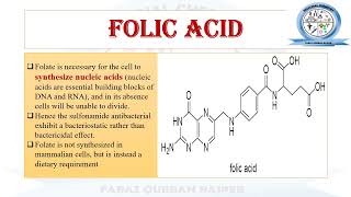 Mechanism of Action of Sulfonamides Trimethoprim Folic Acid PABA  DHF THF  Medicinal Chemistry [upl. by Isiad]