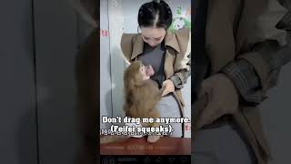 🙊Clever Baboon Feifei🐒Bring me with you😍Keeper Yuanyuan😂 shorts feifeiampyuanyuan [upl. by Hutner]