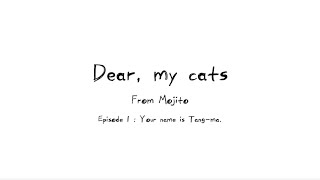 Dear my cats  ep1  Your name is Tangma [upl. by Greenland]