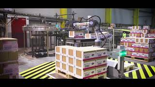 Collaborative robot in action [upl. by Levona292]