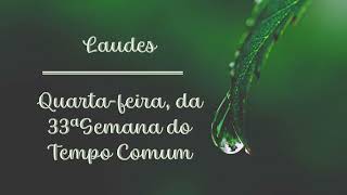 Liturgia das Horas  Laudes  Quartafeira da 33ª Semana do Tempo Comum [upl. by Brian]