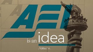 AEI is an idea [upl. by Leroi]