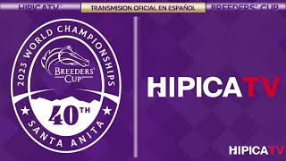 Hípica TV Livestream  Sabado 4 de Noviembre 2023 [upl. by Salakcin920]