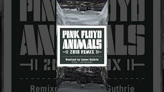 Pink Floyd AnimalsFINALLY shorts [upl. by Raquel]