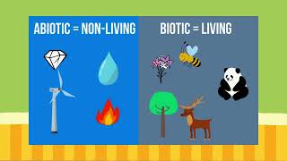 Environmental Science Lesson 9 Community Ecology [upl. by Ecirtnas]