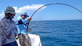 Attempting the Impossible Goliath Grouper on Fly Fishing Tackle [upl. by Doughty]