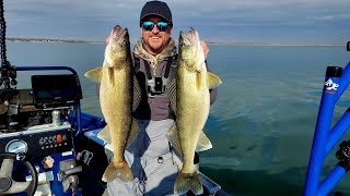 EPIC Lake Erie WalleyeCatching GIANTSCatch amp Cook [upl. by Salhcin]