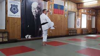 Matsumura no rohai kata Shorin ryu Karate do Okinawa  Stepin 6 dan Moscow Kodokan Budo Festival [upl. by Travis]