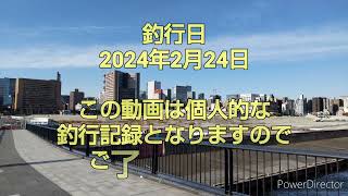 第394話 シーバスもまだ早い豊洲ぐるり公園 2024年2月27日 [upl. by Bilac663]